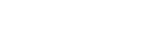 light logo